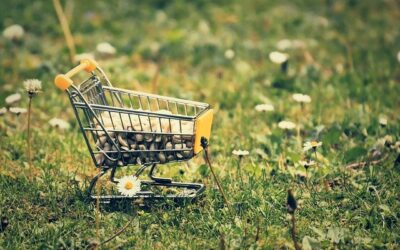 Artikel in der BZ über den schlaraffenland.shop